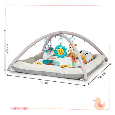Baby Play Mat Activity Gym