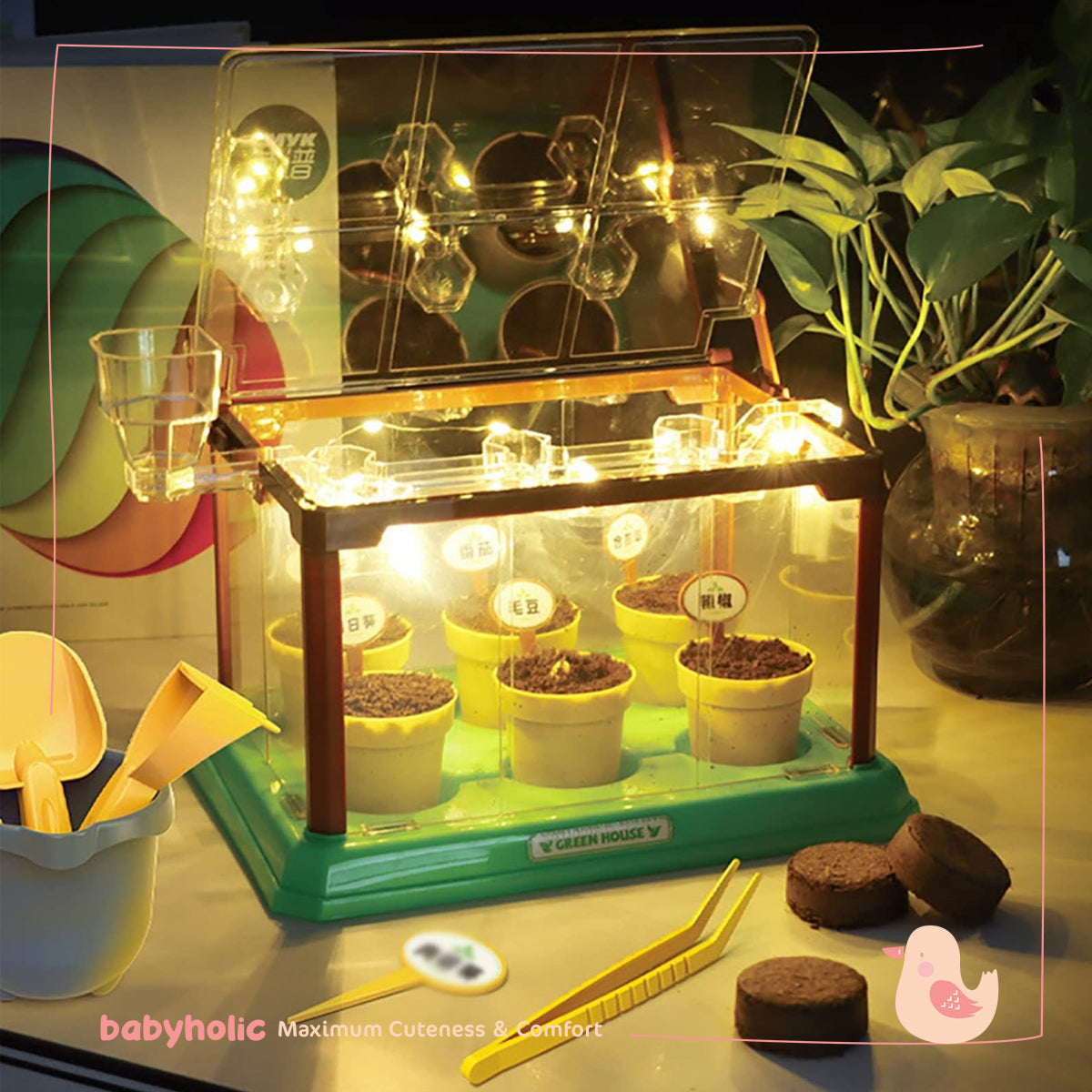 Mini Garden Scientific Plant Greenhouse
