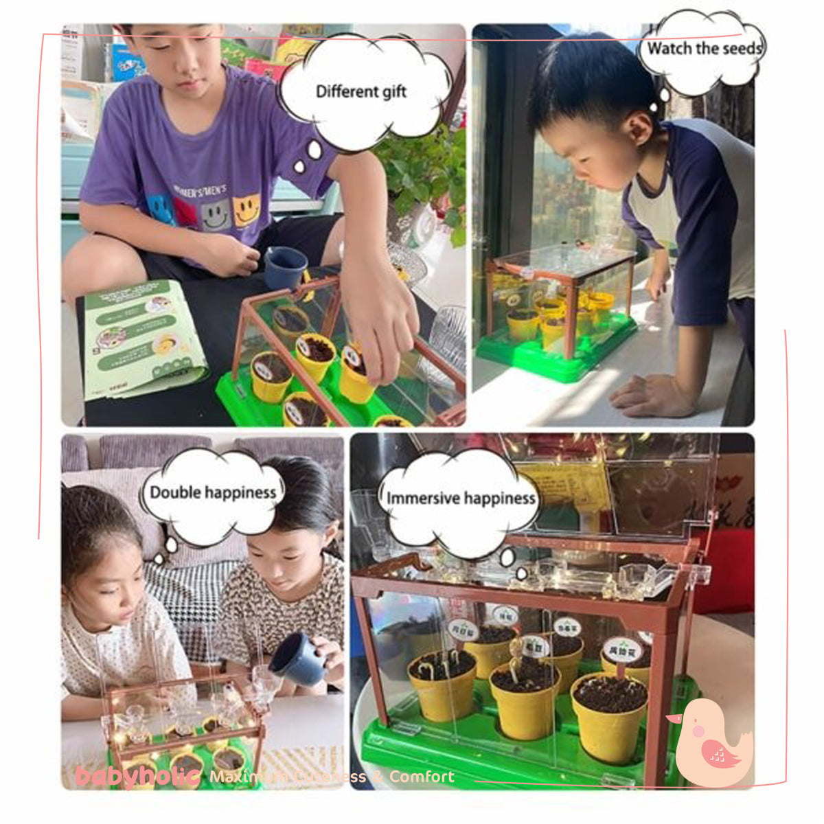 Mini Garden Scientific Plant Greenhouse