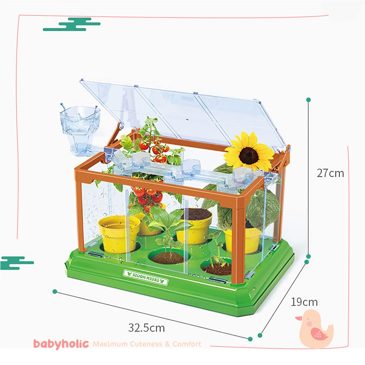 Mini Garden Scientific Plant Greenhouse