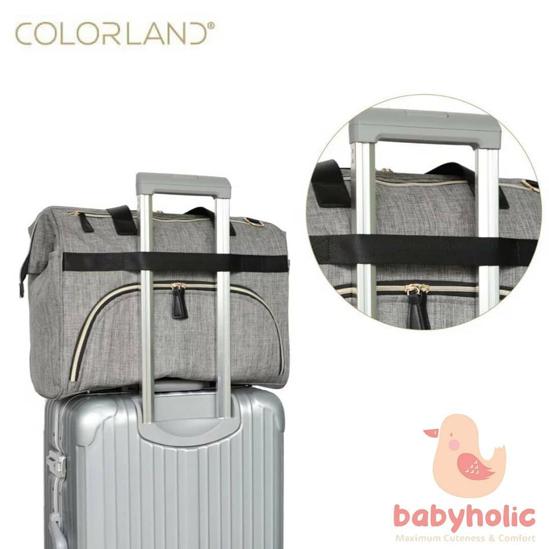 Colorland Maternity Bag