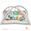 Baby Play Mat Activity Gym