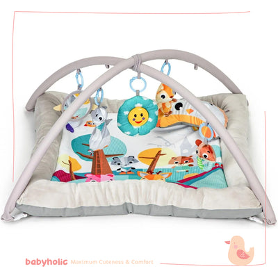 Baby Play Mat Activity Gym