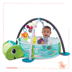 Activity Gym & Ball pit