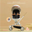 Baby Stroller 3-in-1