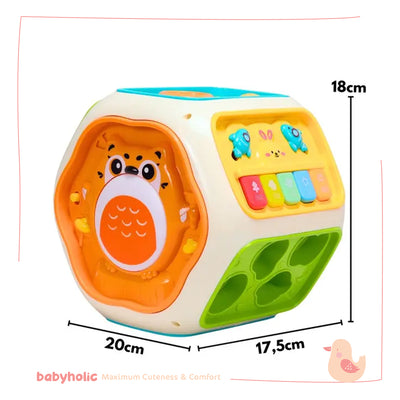 Musical Cube Play 8 in 1