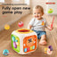 Musical Cube Play 6 in 1