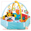 Baby Play Mat Activity Gym