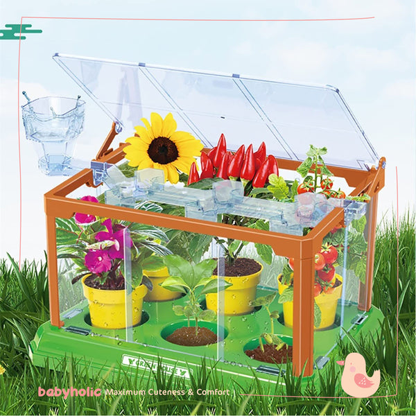 Mini Garden Scientific Plant Greenhouse