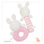 Plush Animal Toys