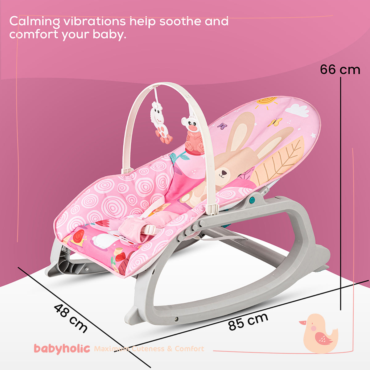 Baby Bouncer & Rocker Chair